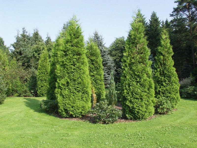 Ferienpark Leitzingen Soltau Zewnętrze zdjęcie